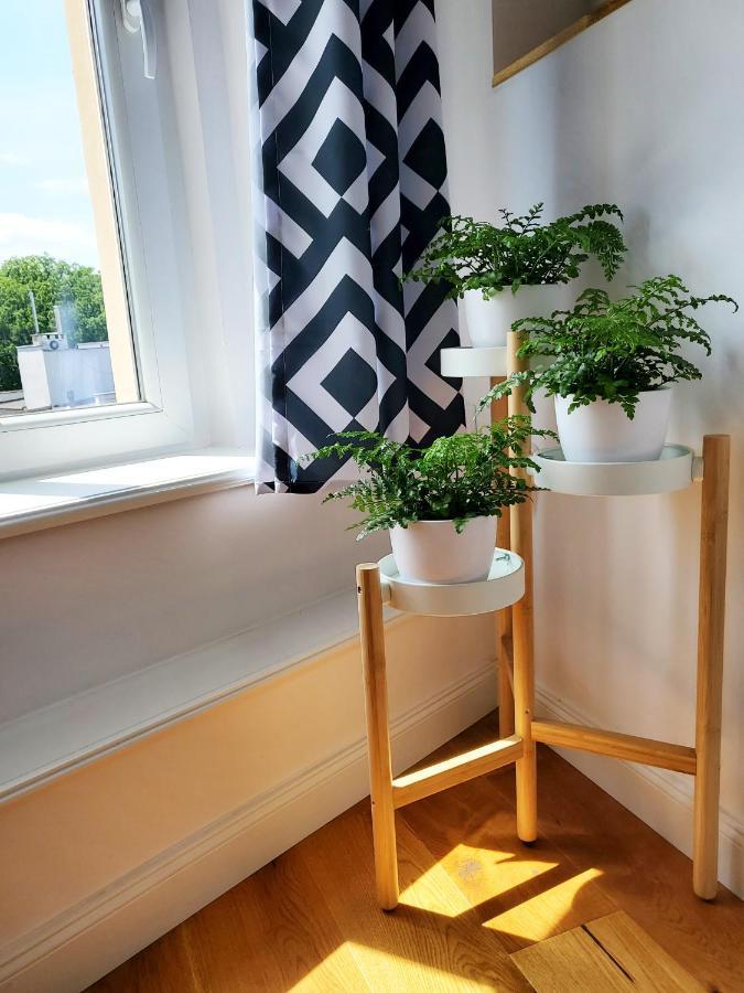 Centrum Grand Apartament Apartment Swidnica  Luaran gambar